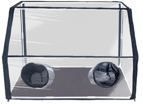 XAGMODSHN Invernadero educativo de hongos sin suelo para experimentos de crecimiento seguro y principiantes, caja de observación del crecimiento de hongos
