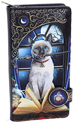 Nemesis Now Lisa Parker B4865P9 Hocus Pocus Porte-Monnaie en Cuir synthétique Noir 18,5 cm