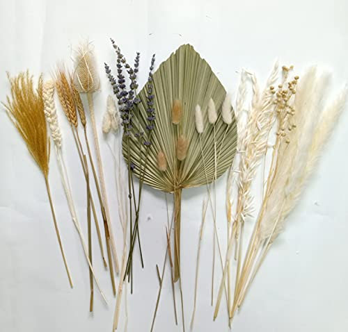 DongArts Getrocknetes Pampasgras und Boho-Palmenfächer, Bouquet-Dekor, Hasenschwanz, Gras, Lavendel, Palmblätter für Hochzeit, Tafelaufsatz, Heimdekoration