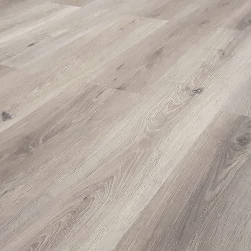 TRECOR® Dryback Vinylboden massiv zum Kleben - Holzdekor - 2 mm Stark (Eiche Silver, Vinylboden 1 qm)