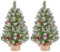 Yaheetech 2Pcs Pre-Lit Artificial Mini Tabletop Christmas Tree, 3ft/98cm Frosted Battery Operated Small Xmas Trees with 50 LED Lights, 70 Red Berries &10 Pinecones for Festival Decoration