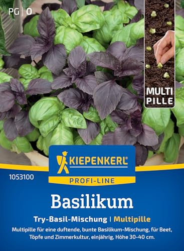 Kiepenkerl Basilikumsamen Try-Basil-Mischung 1053100, Kräutersaat | Bunte Mischung, Multipille, für Freiland & Topf