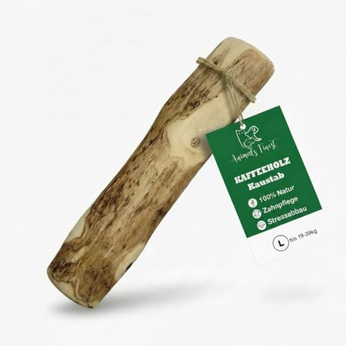Kaffeeholz Kaustab für Hunde – 100 % natürlich & nachhaltig | Fördert Zahngesundheit & reduziert Zahnstein | Splitterarmes, langlebiges Kauspielzeug für kleine, mittlere & große Hunde (L)