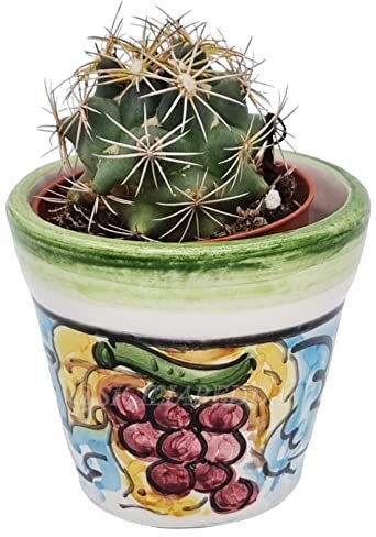 Sicilia Bedda - VASO MIGNON IN CERAMICA SICILIANA - CON PIANTINA GRASSA INCLUSA - Prodotto Artigianale di Qualità (Decoro Uva)