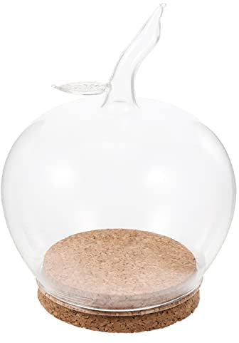 Cabilock - Campana de cristal para flores conservadas, decoración en forma de para presentación, decoración de bajo volumen