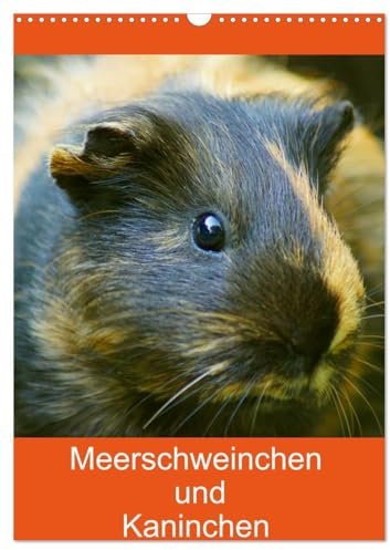 Meerschweinchen und Kaninchen Familienplaner (Wandkalender 2026 DIN A3 hoch), CALVENDO Monatskalender: Die lustige Welt der Meerschweinchen und Kaninchen (CALVENDO Tiere)