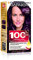 Garnier 100% Color Coloration Permanente 4.26 Violine Intense violet