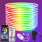 Segrass LED Strip 10m, Mit Fernbedienung, APP Steuerung, IP65 Wasserdichte Flexible RGB LED Streifen, 24V Neon LED Band, Anwendbar Auf Schlafzimmer, Raum Und Außendekoration