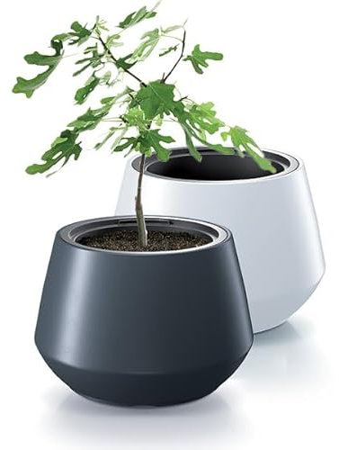 magubo Pflanzkübel Groß Außen - Blumentopf Mit Einsatz, Blumenkübel Aus Kunststoff, Blumentopf Groß Draussen, Übertopf, Blumentopf Groß für Garten und Balkon (MDMHET, ⌀59 cm Weiß)