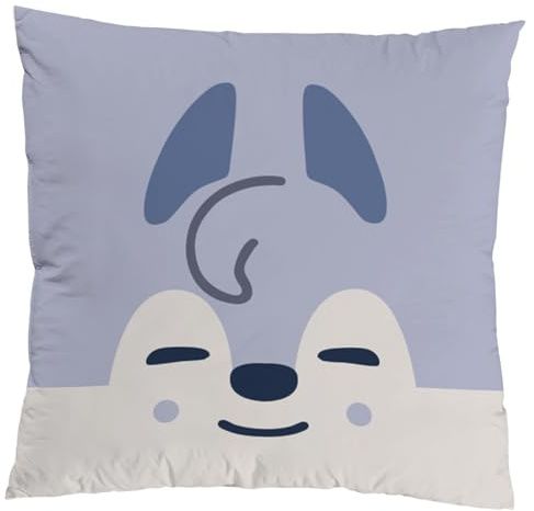 Straykiids Kissenbezug, Straykiids Kissenbezug 45x45 Cartoon Cute Pattern | Dekorative Pillow Case, Super Soft Skzoo Cushion Cover, Home Soft & Comfortable