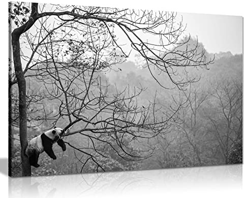 Panther Print Fine Art Prints Panda Relaxing on a Tree Wildlife Artistic Framed Canvas Print, Pictures for Home Walls, Bedroom, Living Room & Bathroom Decor 76x51cm (30x20in)