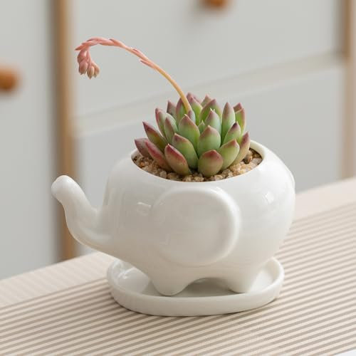 Mini-Elefanten-Sukkulentententöpfe, weißer Keramik-Blumentopf, niedlicher Tier-Blumentopf für Zuhause, Büro, Zuhause, Innen- und Außenbereich, Garten, Dekoration, tolle Geschenkidee für den