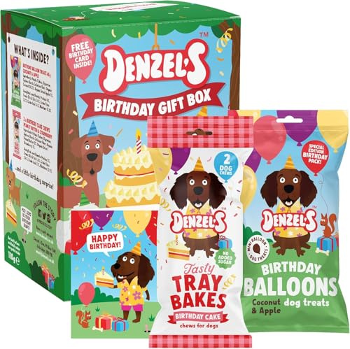Denzel's Dog Treats Mini Birthday Gift Box - Birthday Cake Chews with Peanut Butter & Strawberry + Balloon shaped Treats with Coconut & Apple - 110g