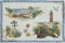 Sander Platzset Tischset Seaside 32 x 48cm 70% Baumwolle Ostsee Meer Möven Boote Muscheln