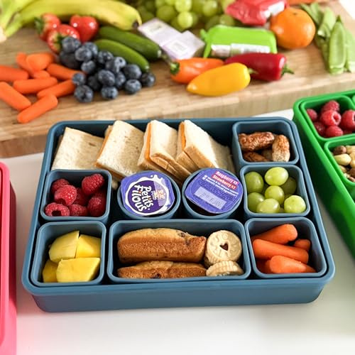 Pick Plate Snackle Box | 10 Compartments | Divided Removable Snack Organiser for Veg, Fruits. Cheese, Meats, Nuts | Travel Snacks or Snack Container for Home | Kids and Adults | Drop Proof (Blue)