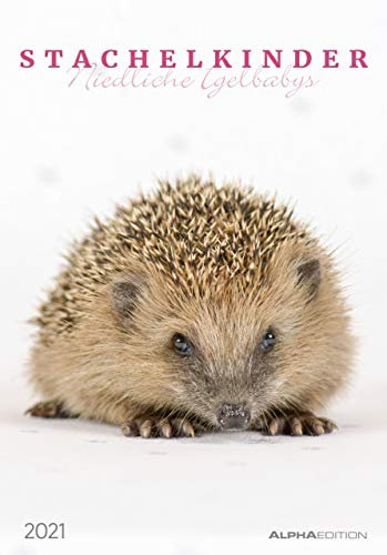 Stachelkinder - Niedliche Igelbabys 2021 - Bild-Kalender 24x34 cm - Hedgehogs - Wandkalender - mit Platz für Notizen - Alpha Edition