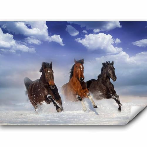 murando - Fototapete Premium-Vlies Pferde 350x256cm Foto Tapete Schlafzimmer Wohnzimmer Vliestapete XXL Wandtapete Motivtapeten Bildtapete 3d Effekt Wand Dekoration Flur Himmel Tiere blau braun