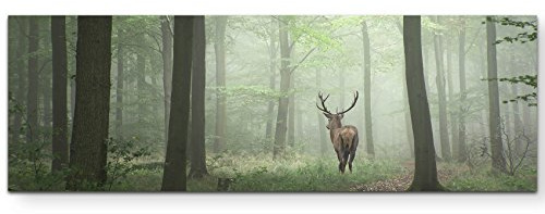 Eau Zone Wandbild auf Leinwand 150x50cm Hirsch im Wald