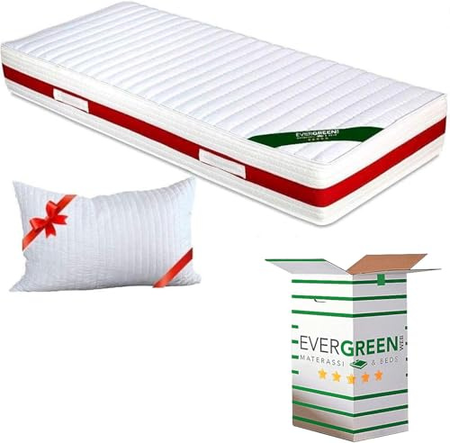 EVERGREENWEB - Orthopädische Memory Foam Matratze 120x190 cm 22 Höhe + 1 Kissen aus Memory Foam Flocken KOSTENLOS, Kaltschaummatratze mit MASSAGEEFFEKT, Abnehmbarer, Waschbarer Bezug | Sleepy Memory