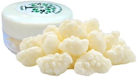 Milk Kefir Live Grains - Live Active Starter Cultures Scoby For Homemade Probiotic Drink For Almond, Coconut Kefir Or Whole Milk - Bulgaros De Leche - The Spirit Of The Forest