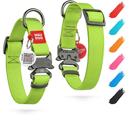 Wasserfest Hundehalsband Mittelgroße Hunde Halsband Hund Hundehalsband Kleine Hunde Halsbänder 25 mm Brete Verstellbares Hundehalsband Große Hunde & Welpen Halsband mit Metall-Verschluss