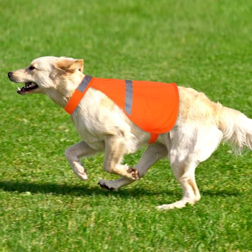 Warnweste Hund mit reflektierenden Elementen für Outdoor Aktivitäten Tag und Nacht, Verstellbar Sicherheitsweste für Hunde für Hält den Hund Sichtbar mehr Sicherheit im Dunkeln Orange