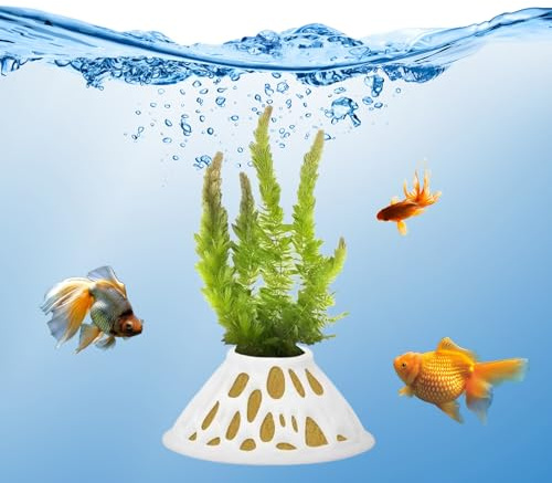 Confezione da 2 vasi per piante acquatiche in plastica bianca con fori di ventilazione laterali, infrangibili e senza BPA, decorazione per acquario per piante vive, gamberetti, felci di Giava, Anubias