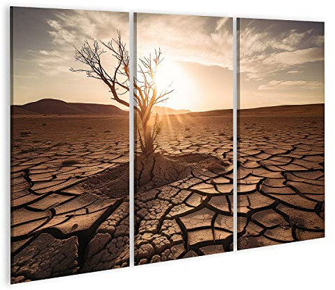 islandburner Prime Bild auf Leinwand rissige Dürre Landschaft Toter Baum Sonne Bilder Wandbilder Poster