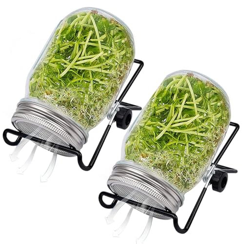 Kit di coltivazione per germogli in barattolo di germinazione 2 set Germogliatore di semi a bocca larga con coperchio in rete Kit 16 once con supporto regolabile 4,92 pollici Trasparente per fagioli