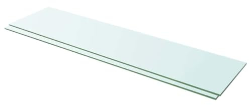 vidaXL Shelves 2 pcs Panel Glass Clear 100x25 cm