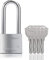50mm Long Shackle Padlocks for Outdoor Use All Weather Resistant, Alloy Steel Heavy Duty Lock with 4 Keys
