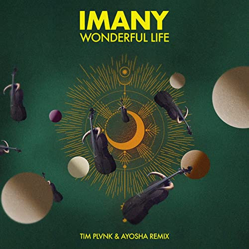 Wonderful Life (TIM PLVNK & Ayosha Remix)