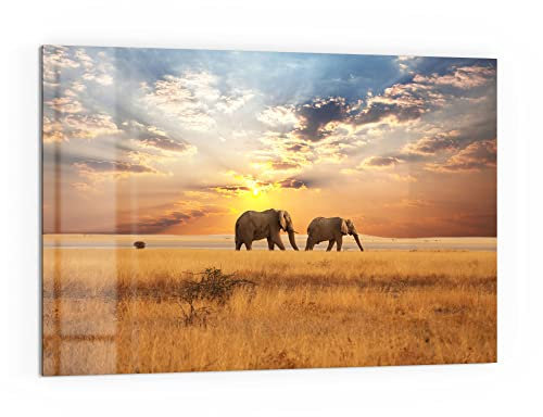 DEQORI Küchenrückwand Glas | Motiv Elefanten in der Steppe | 60x40 cm | Bad- oder Herd-Rückwand | Herdblende Spritzschutz für Küche & Badezimmer | moderne Deko für Fliesenspiegel
