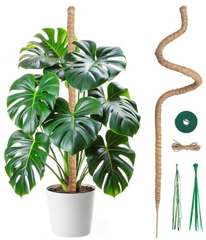 Mcbazel Tutor de Plantas Trepadoras sobre Estaca de Planta, 120 cm Soporte de Planta, Tutor de Coco, Ancho de 7 mm, Plegable, Poste de Crecimiento de Plantas Trepadoras para Plantas Monstera/Jardín