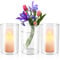 Zylinder Glasvase, 3 Stück 15 cm Vase Glas, Vasen, Glasvasen, für Orchideen, Rosen, Tulpen, Pampasgras, Hochzeiten, Geburtstage, Feste(950ML)