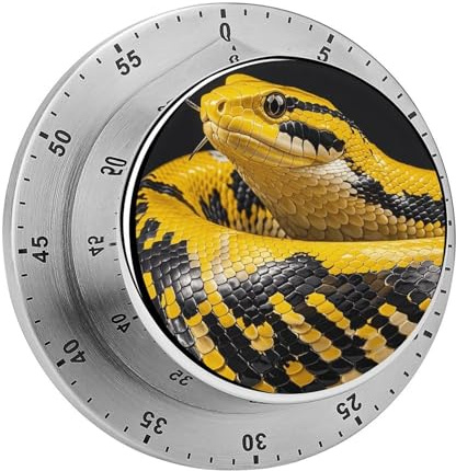 Pythons Küchentimer mit magnetischer Rückseite, manueller Countdown-Timer für Klassenzimmer, Heim-Fitnessstudio und Solarium