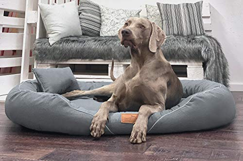 tierlando® Orthopädisches Hundebett Tiffany Couture XL XXL - Elegantes Hundesofa für große Hunde – Waschbarer Bezug - Memory Foam Matratze - Meliertes Design - Größe: 145x105 cm Farbe: 02 Graphit