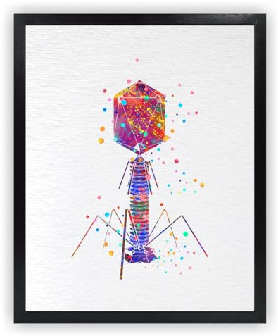 Dignovel Studios 33 x 48 cm ungerahmter Kunstdruck für Bakteriophagen, medizinische Mikrobiologie, Viren, Biologie, Bakterien, Mikroskopie, Wissenschaft, Aquarell, Kunstdruck, Poster, DN598