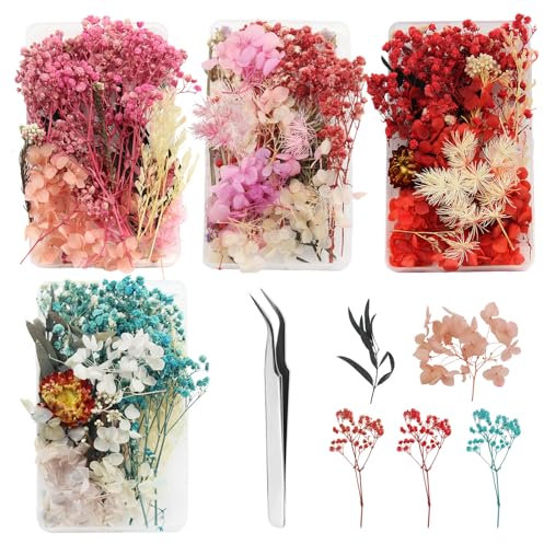 GZGXKJ 4 Boxen Mini Trockenblumen Klein Getrocknete Blumen Deko Trockenblumen für Epoxidharz Natürliche Trockenblumen mit Pinzette zum Basteln DIY Harz Karten Kerze Machen