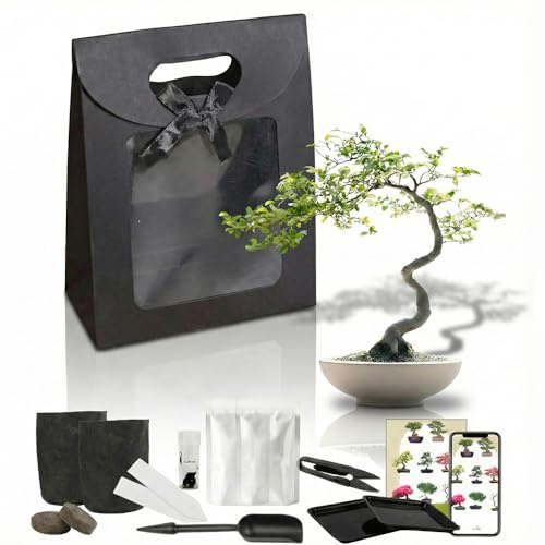 Kit bonsai árboles para cultivar completo para principiantes semillas raras plantas de interior ideas regalo jardinería 100% ecológicas decoración idea juego de 8 accesorios