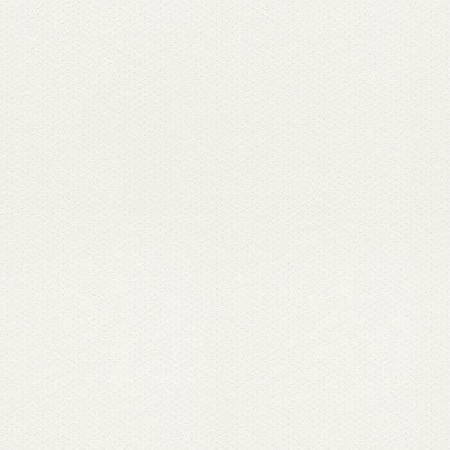 Rasch Textil 288840 Vliestapete, 10,05 m x 0,53 m