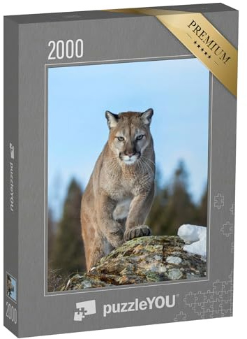 puzzleYOU: Puzzle 2000 Teile „Puma oder Berglöwe im Winter von Montana, USA“ – aus der Puzzle-Kollektion Puma