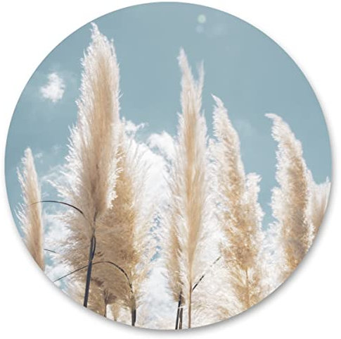 Muralo Sticker Kreis PAMPASGRAS Pflanzen 3D Himmel Natur Moderne Muster Wanddekoration Aufkleber für Wohnzimmer Flur Gästezimmer Büro Br. 100cm x Hö. 100cm