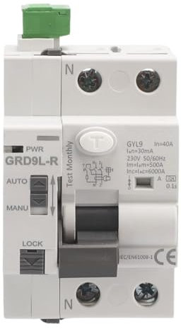 Le Garage - Differenziale Auto Riarmabile superimmunizzato - 2P 40A 30mA 6Ka - Ripristino automatico - Tipo A SI - Interruttore RCCB intelligente - Guida DIN