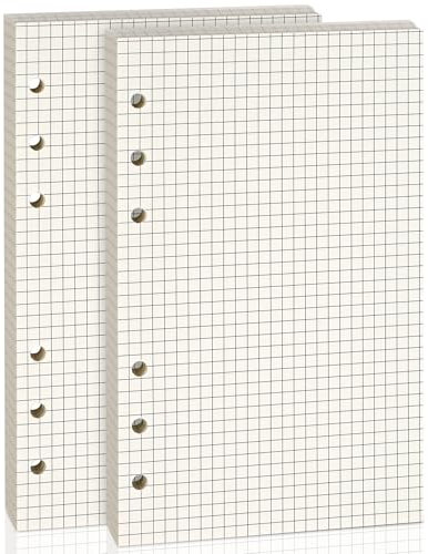 2 Packungen Nachfüllpapier für A6 6-Ringbuch-Notizbuch - Ideal für Büro, Schule, Zuhause, Kreative Projekte und Tagesplanung, 100 GSM, Kariert, Jeweils 80 Blatt, passend für A6 6-Ring