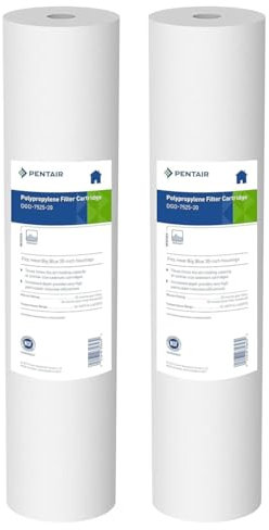 Pentair Pentek DGD-7525-20 Big Blue - Cartuccia di ricambio per filtro sedimenti da 50,8 x 11,4 cm, 25 micron, in polipropilene filato a densità doppia, 50,8 x 11,4 cm, 25 micron, confezione da 2,