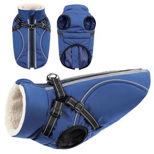 CITÉTOILE Hundemantel Hundejacke Warm Wintermantel mit Reißverschluss Winddichte & Winddichte mit Reflektorstreifen & Brustgurt für kleine Mittel Große Hunde Blau M