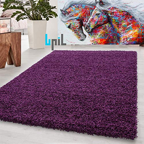 BPIL Shaggy Rugs Soft plain Thick Pile Large Small Antiskid Area Rug (PURPLE, 80X150CM)