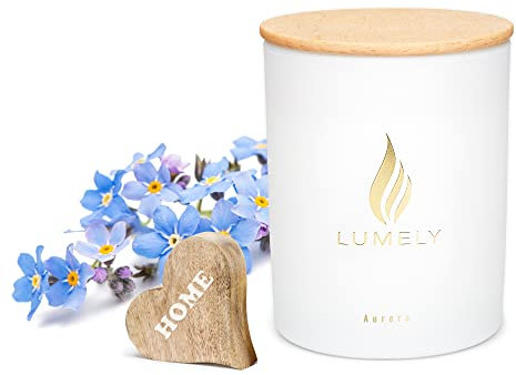 LUMELY Duftkerzen im Glas Home Sweet Home aus Bio Sojawachs – vegan, 250ml / 50h Brenndauer – wohlriechende, dekorative Entspannungskerze mit Deckel – Bio Kerzen aus Soja Wachs (Sweet Home)
