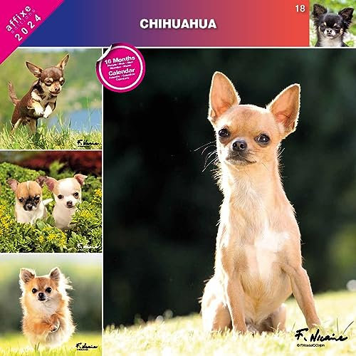Kalender 2024 Chihuahua (Affixe)